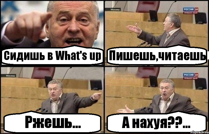 Сидишь в What's up Пишешь,читаешь Ржешь... А нахуя??..., Комикс Жириновский