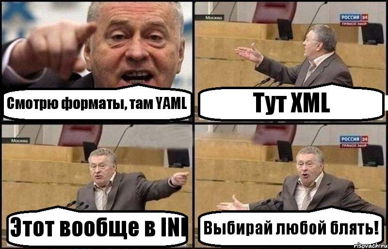 Смотрю форматы, там YAML Тут XML Этот вообще в INI Выбирай любой блять!, Комикс Жириновский