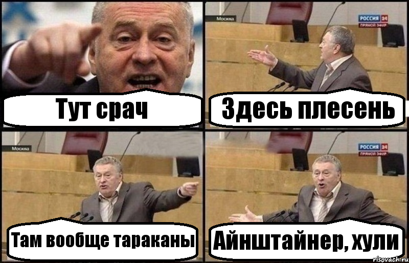 Тут срач Здесь плесень Там вообще тараканы Айнштайнер, хули, Комикс Жириновский