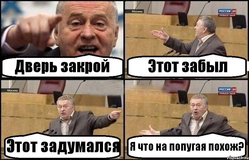 Дверь закрой Этот забыл Этот задумался Я что на попугая похож?, Комикс Жириновский