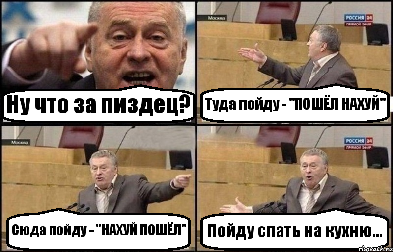 Ну что за пиздец? Туда пойду - "ПОШЁЛ НАХУЙ" Сюда пойду - "НАХУЙ ПОШЁЛ" Пойду спать на кухню..., Комикс Жириновский