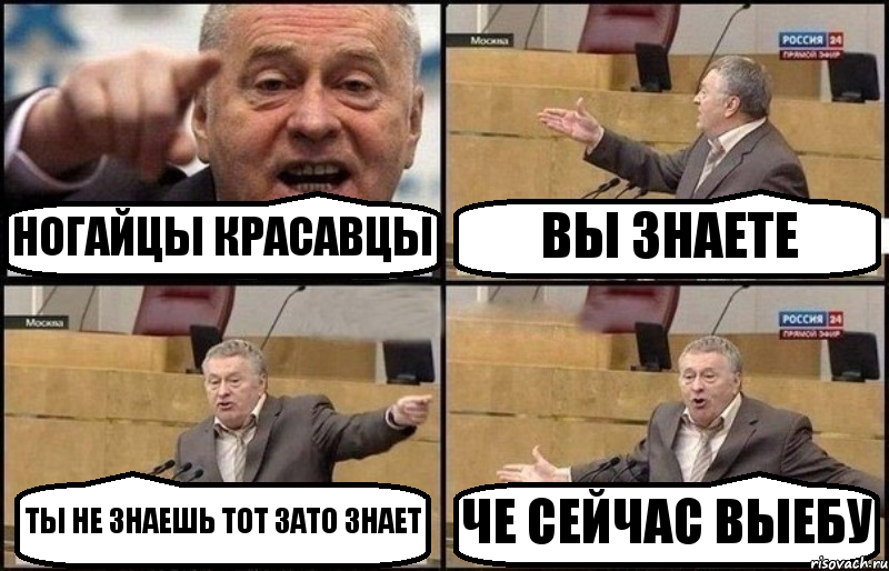 НОГАЙЦЫ КРАСАВЦЫ ВЫ ЗНАЕТЕ ТЫ НЕ ЗНАЕШЬ ТОТ ЗАТО ЗНАЕТ ЧЕ СЕЙЧАС ВЫЕБУ, Комикс Жириновский