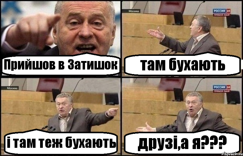 Прийшов в Затишок там бухають і там теж бухають друзі,а я???, Комикс Жириновский