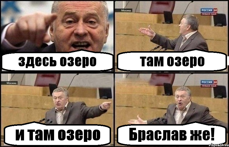 здесь озеро там озеро и там озеро Браслав же!, Комикс Жириновский