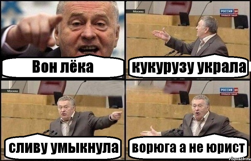 Вон лёка кукурузу украла сливу умыкнула ворюга а не юрист, Комикс Жириновский