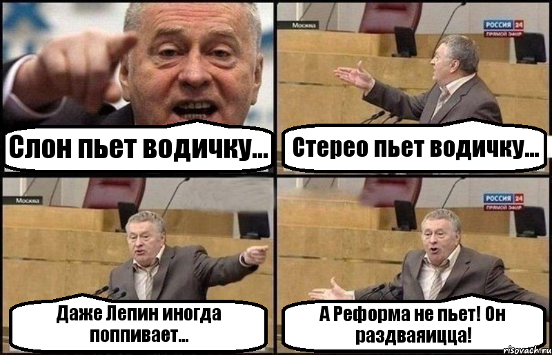 Слон пьет водичку... Стерео пьет водичку... Даже Лепин иногда поппивает... А Реформа не пьет! Он раздваяицца!, Комикс Жириновский