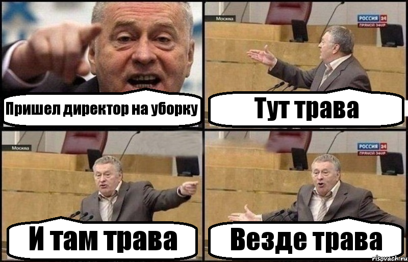 Пришел директор на уборку Тут трава И там трава Везде трава, Комикс Жириновский