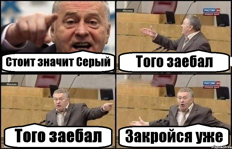 Стоит значит Серый Того заебал Того заебал Закройся уже, Комикс Жириновский