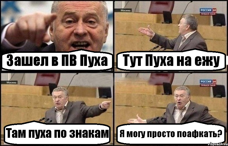 Зашел в ПВ Пуха Тут Пуха на ежу Там пуха по знакам Я могу просто поафкать?, Комикс Жириновский