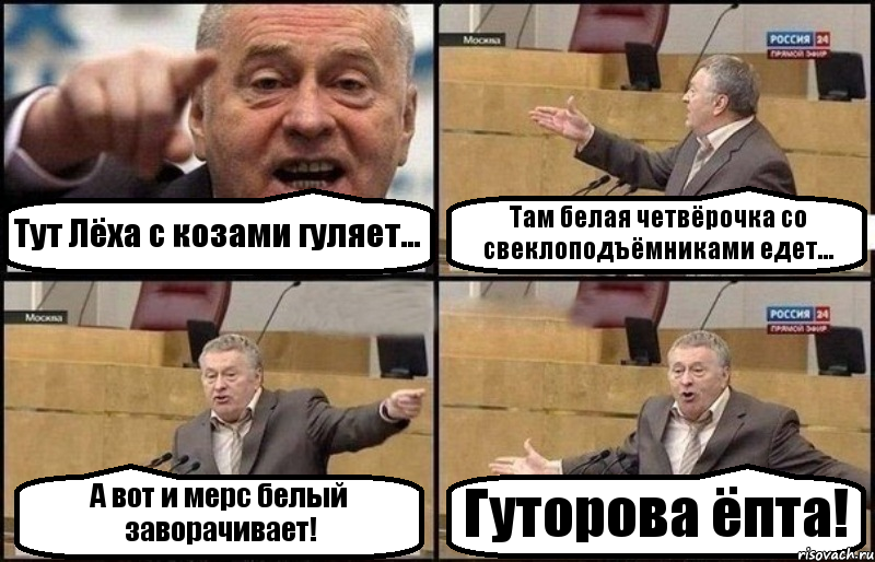 Тут Лёха с козами гуляет... Там белая четвёрочка со свеклоподъёмниками едет... А вот и мерс белый заворачивает! Гуторова ёпта!, Комикс Жириновский