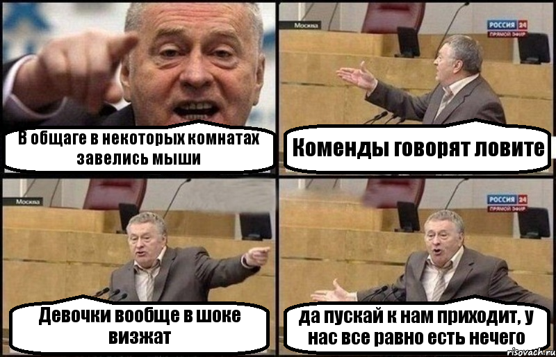 В общаге в некоторых комнатах завелись мыши Коменды говорят ловите Девочки вообще в шоке визжат да пускай к нам приходит, у нас все равно есть нечего, Комикс Жириновский