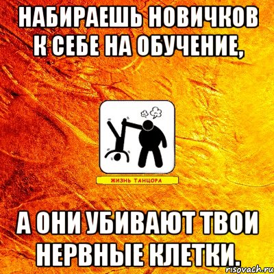 набираешь новичков к себе на обучение, а они убивают твои нервные клетки.