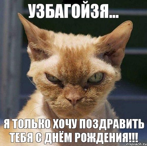 http://risovach.ru/upload/2013/09/mem/zloj-kot_29165997_orig_.jpg