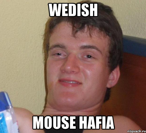 wedish mouse hafia, Мем 10 guy (Stoner Stanley really high guy укуренный парень)