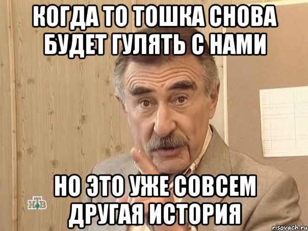 когда то тошка снова будет гулять с нами но это уже совсем другая история, Мем Каневский (Но это уже совсем другая история)