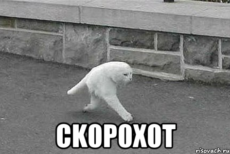  ck0p0x0t, Мем 2