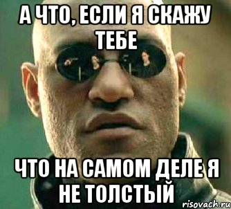 а что, если я скажу тебе что на самом деле я не толстый, Мем  а что если я скажу тебе