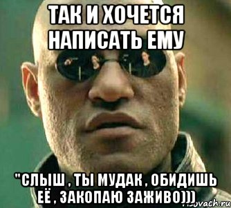 так и хочется написать ему "слыш , ты мудак , обидишь её , закопаю заживо))), Мем  а что если я скажу тебе