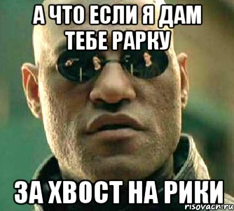 а что если я дам тебе рарку за хвост на рики, Мем  а что если я скажу тебе