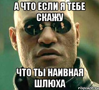 а что если я тебе скажу что ты наивная шлюха, Мем  а что если я скажу тебе