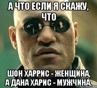 а что если я скажу, что шон харрис - женщина, а дана харис - мужчина., Мем  а что если я скажу тебе