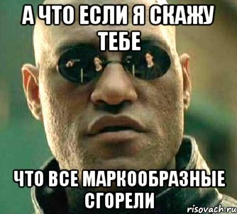 а что если я скажу тебе что все маркообразные сгорели, Мем  а что если я скажу тебе