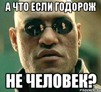 а что если годорож не человек?, Мем  а что если я скажу тебе