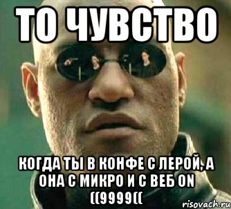 то чувство когда ты в конфе с лерой, а она с микро и с веб on ((9999((, Мем  а что если я скажу тебе