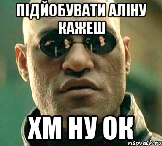 підйобувати аліну кажеш хм ну ок, Мем  а что если я скажу тебе