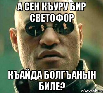 а сен къуру бир светофор къайда болгъанын биле?, Мем  а что если я скажу тебе