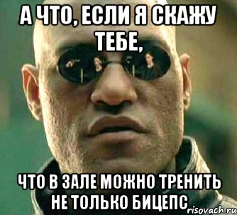 а что, если я скажу тебе, что в зале можно тренить не только бицепс, Мем  а что если я скажу тебе