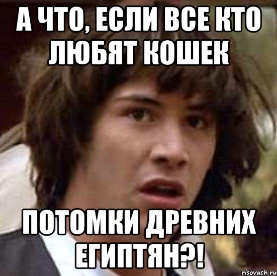 а что, если все кто любят кошек потомки древних египтян?!, Мем А что если (Киану Ривз)