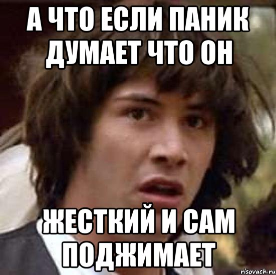 а что если паник думает что он жесткий и сам поджимает, Мем А что если (Киану Ривз)