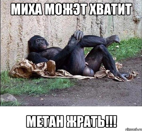 миха можэт хватит метан жрать!!!, Мем а танцую я не очень