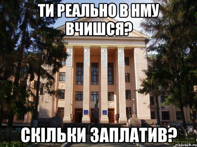 ти реально в нму вчишся? скільки заплатив?, Мем Нму
