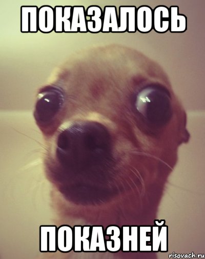 показалось показней