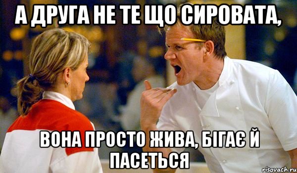 а друга не те що сировата, вона просто жива, бігає й пасеться, Мем Адская кухня