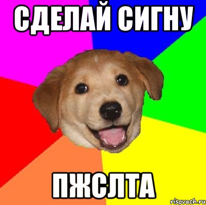 сделай сигну пжслта, Мем Advice Dog