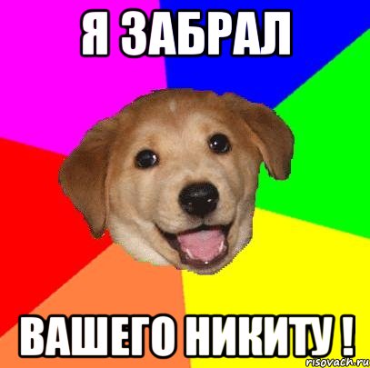 я забрал вашего никиту !, Мем Advice Dog