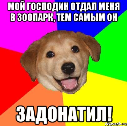 мой господин отдал меня в зоопарк, тем самым он задонатил!, Мем Advice Dog