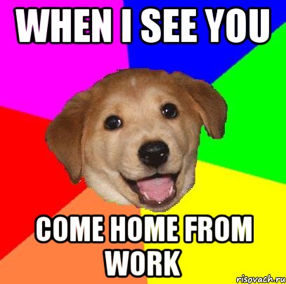 when i see you come home from work, Мем Advice Dog