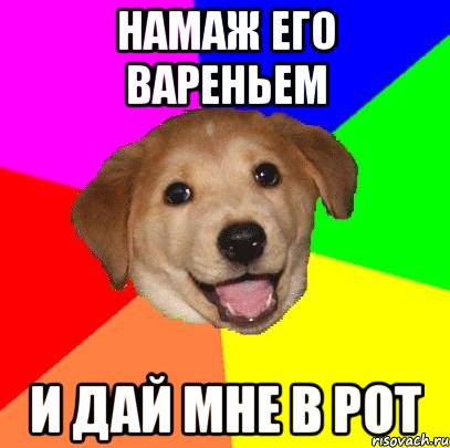 намаж его вареньем и дай мне в рот, Мем Advice Dog