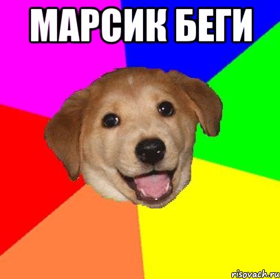 марсик беги , Мем Advice Dog