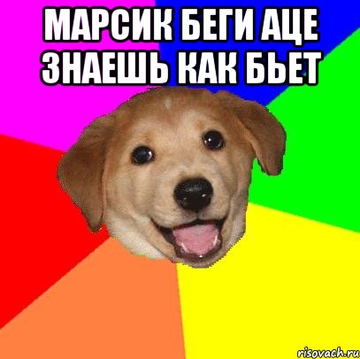 марсик беги аце знаешь как бьет , Мем Advice Dog