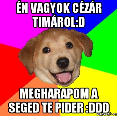 én vagyok cézár timárol:d megharapom a seged te pider :ddd, Мем Advice Dog