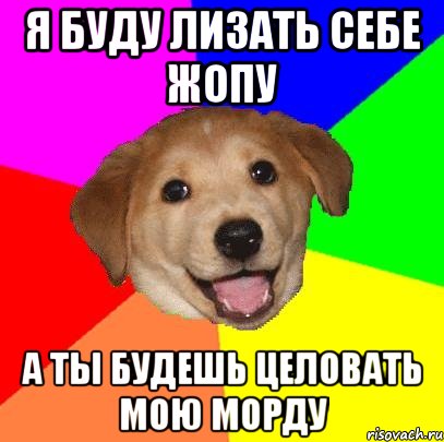 я буду лизать себе жопу а ты будешь целовать мою морду, Мем Advice Dog