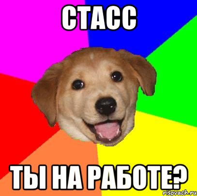 стасс ты на работе?, Мем Advice Dog