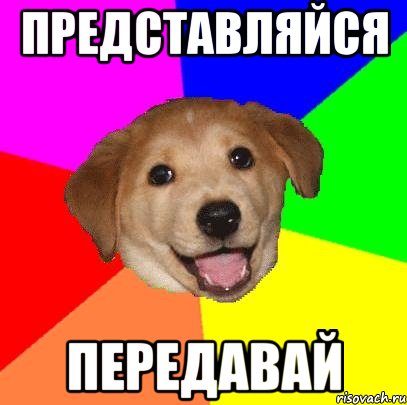 представляйся передавай, Мем Advice Dog