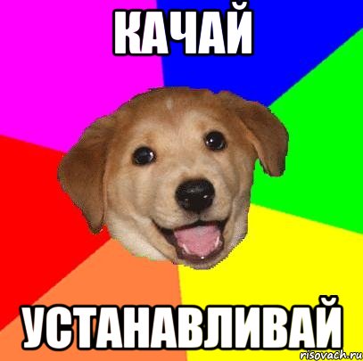 качай устанавливай, Мем Advice Dog