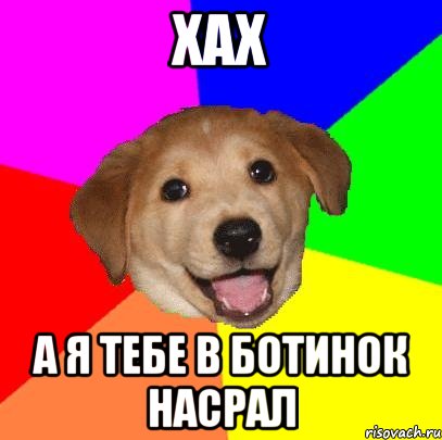 хах а я тебе в ботинок насрал, Мем Advice Dog